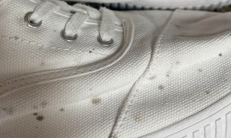 Sepatu berjamur, Sumber: grid.id
