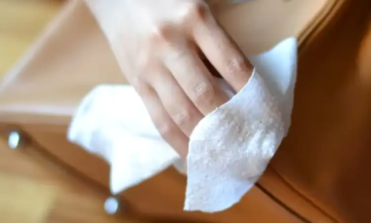 Cara membersihkan tas kulit dari jamur, Sumber: shopify.com