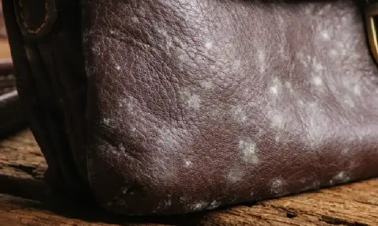 Tas berjamu, Sumber: leatherskill.com