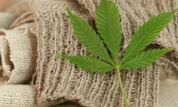 Mengenal apa itu hemp, Sumber:: bskfashion.com