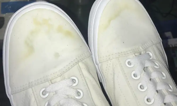 Sepatu kanvas menguning, Sumber: gordysnovelties.com