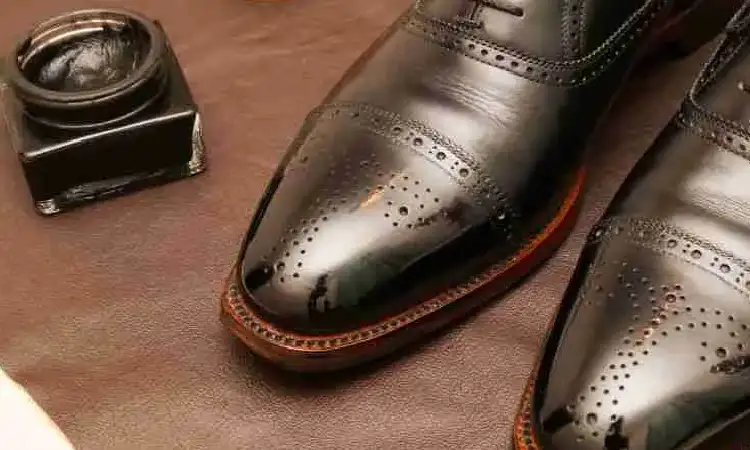 Dampak positif penggunaan semir, Sumber: internationalleatherclub.com