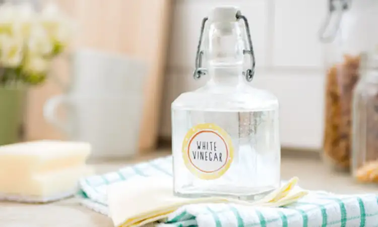 Cuka putih, Sumber: acleanvision.com