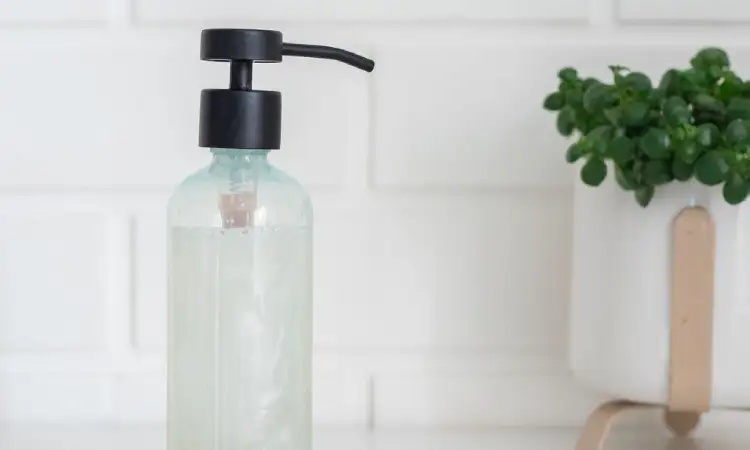 Sabun cair, Sumber: thesprucecrafts.com