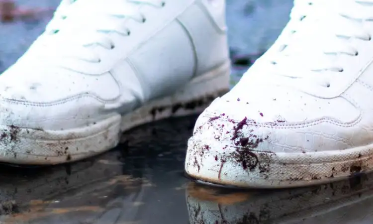 Noda sepatu, Sumber: kompas.com